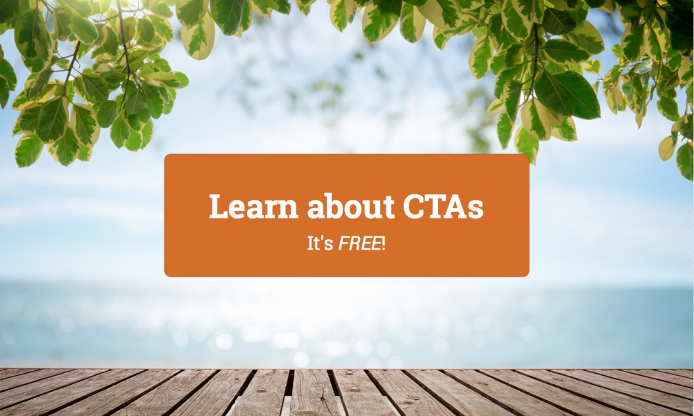 CTA to illustrate article about how to use ctas by Virtual Wave Media