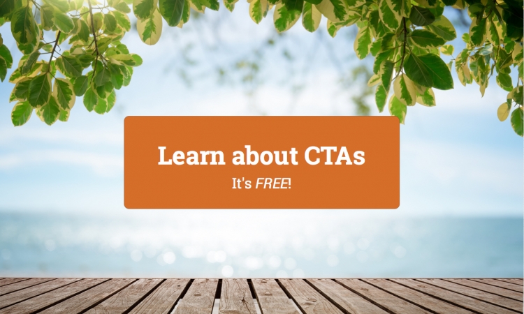 CTA to illustrate article about how to use ctas by Virtual Wave Media